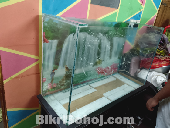 Fish aquarium